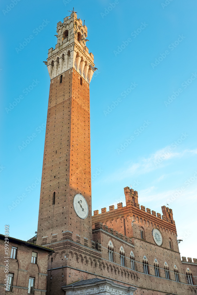 Vista della Torre del Mangia a Siena
