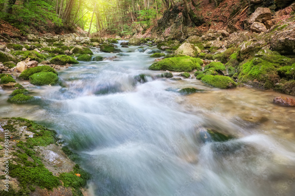 Mountain river in forest and mountain terrain. Crimea, the Grand Canyon. Nature composition. Mountain river in forest and mountain terrain. Crimea, the Grand Canyon. Nature composition.