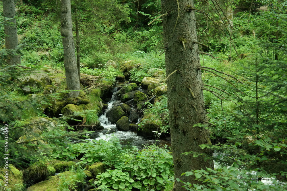 Obraz premium small waterfall