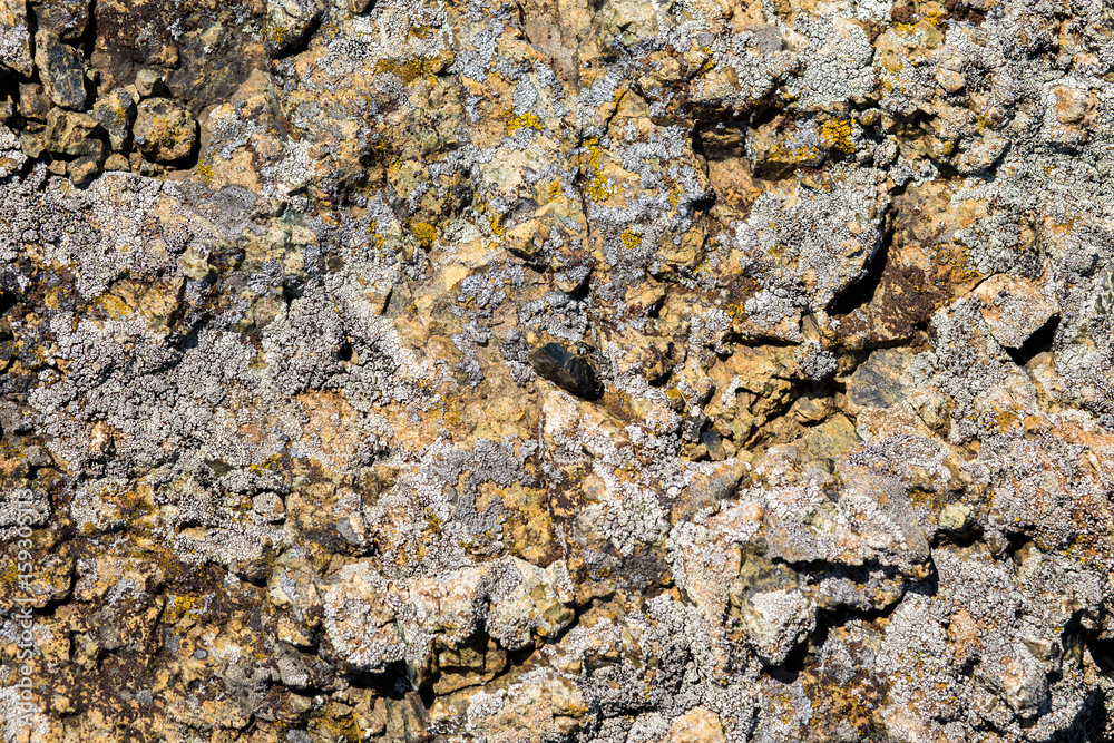 beautiful brown grey stones, rocks, moss, closeup, summer, nature, forest beautiful brown grey stones, rocks, moss, closeup, summer, nature, forest