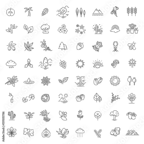 Big natural icon set