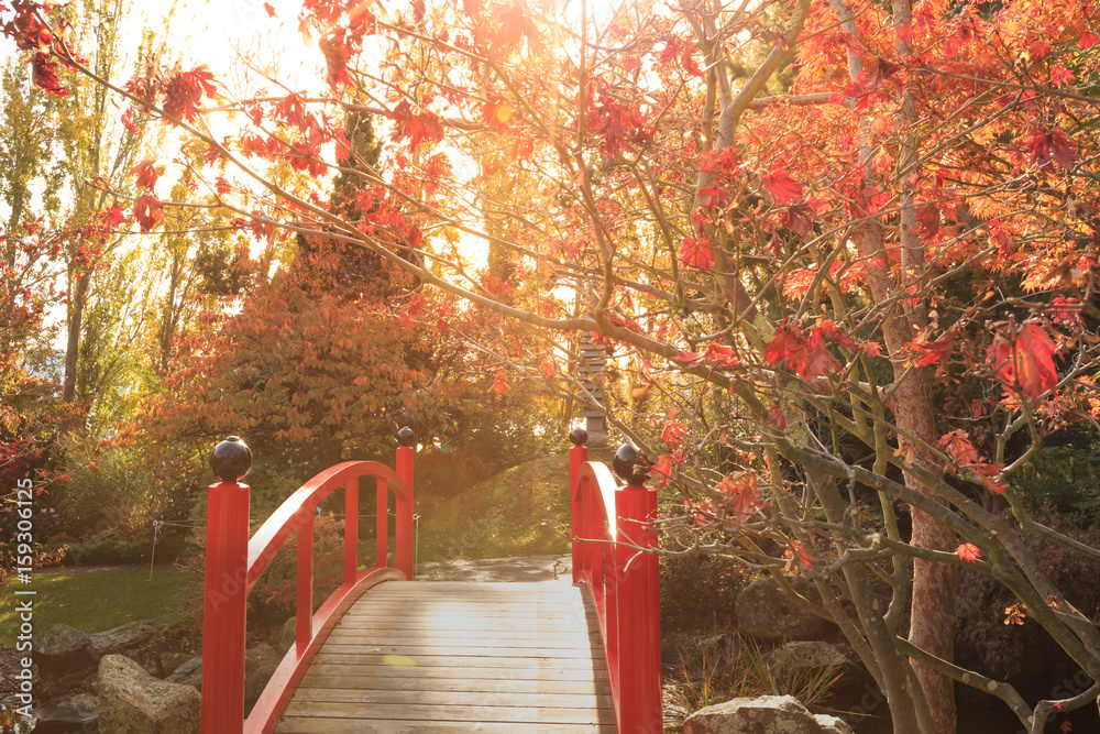 Red bridge with sunset colours in the Japanese gardens at the Royal Botanical Gardens, Hobart, Tasmania high key look Red bridge with sunset colours in the Japanese gardens at the Royal Botanical Gardens, Hobart, Tasmania high key look