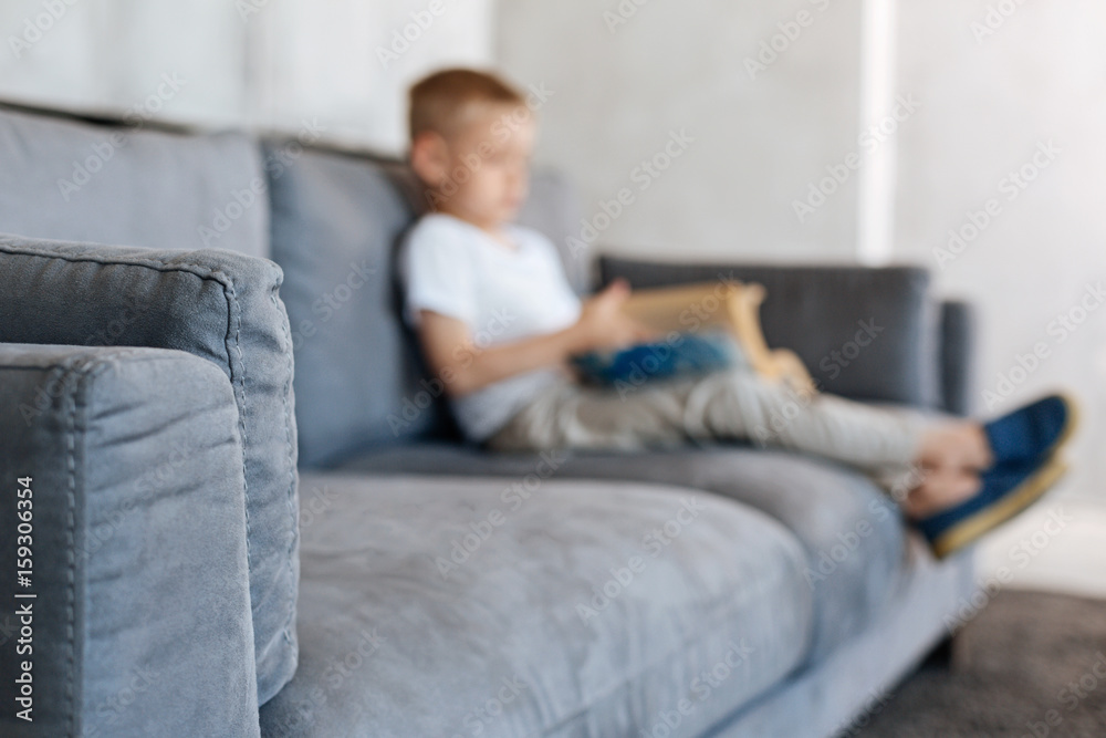 Small dedicated kid sitting on a sofa