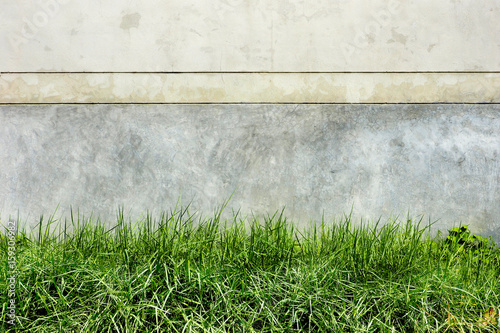 Background cement dark cracks and grass