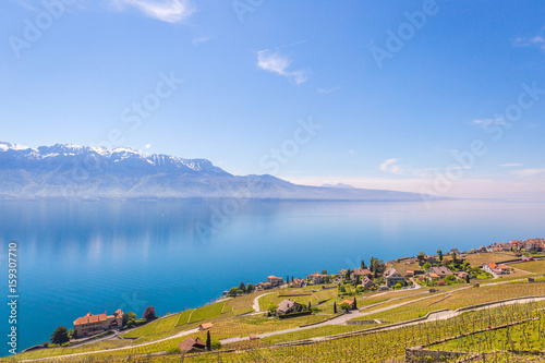 Amazing Panoramic View of Vineyards of the Lavaux Region over Lake Leman (Lake of Geneva), Free Space for Text