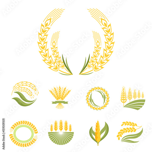 Cereal ears and grains agriculture industry or logo badge design vector food ...