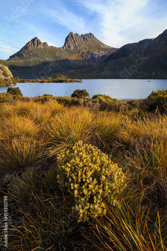 Obraz na plátně Cradle mountain at golden hour, Tasmania