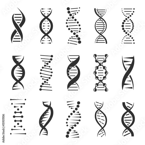 Double DNA helix vector icons photo