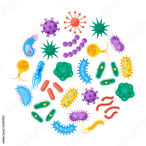 Fototapeta Naklejka Na Ścianę i Meble -  Bacteria and microbes vector illustration