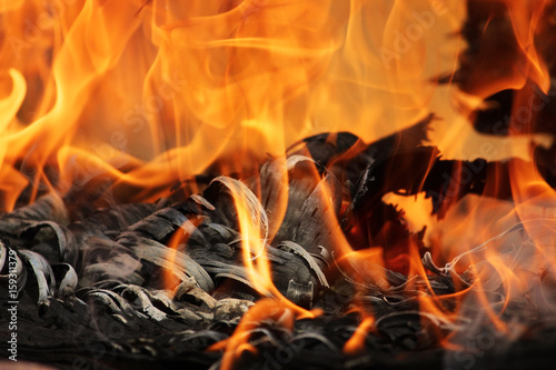 Old plywood beautifully burns in the fire with the formation of texture ash.