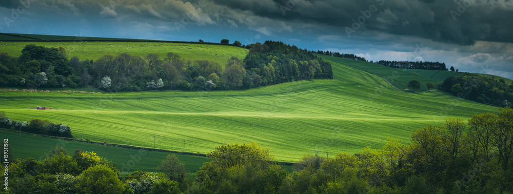 Panoramic View of Green Farming Fields in Shropshire, UK