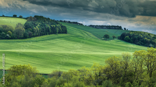 Fresh Green Wheat Field of Shropshire Hills in UK