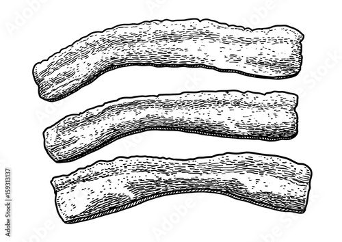 Bacon illustration, drawing, engraving, ink, line art, vector