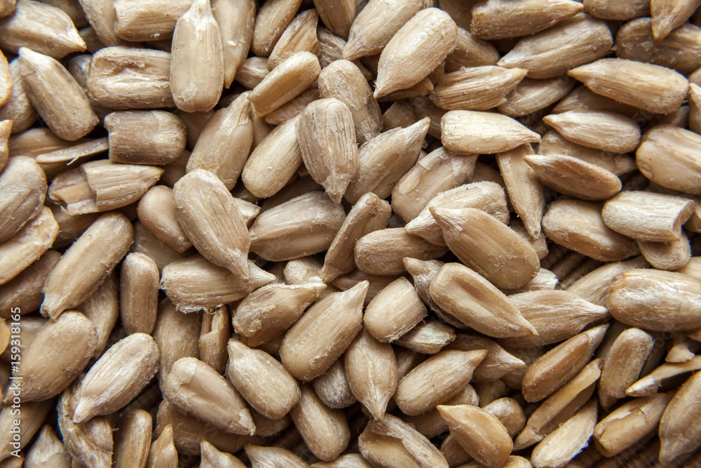 shelled sunflower seeds shelled sunflower seeds