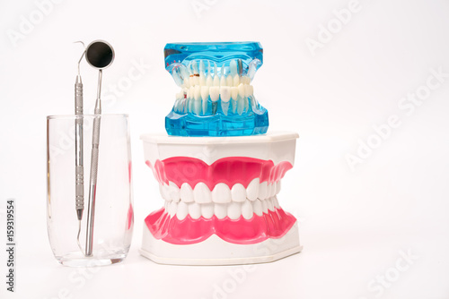 dental model and dental tool on white background
