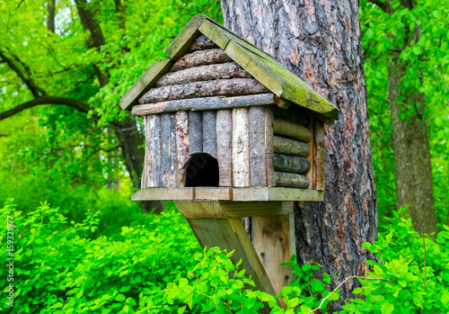 Nesting box on a tree © binik