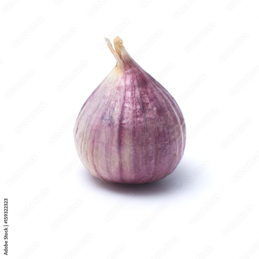 Fototapeta premium Garlic or Allium ampeloprasum var. ampeloprasum isolated on white background