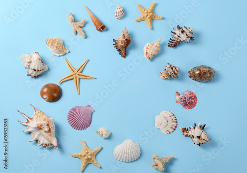 Creative layout made of different colorful seashells and greeting card. Minimal style background
