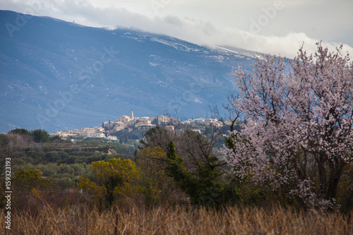Wallpaper Mural Paysage de Provence Torontodigital.ca
