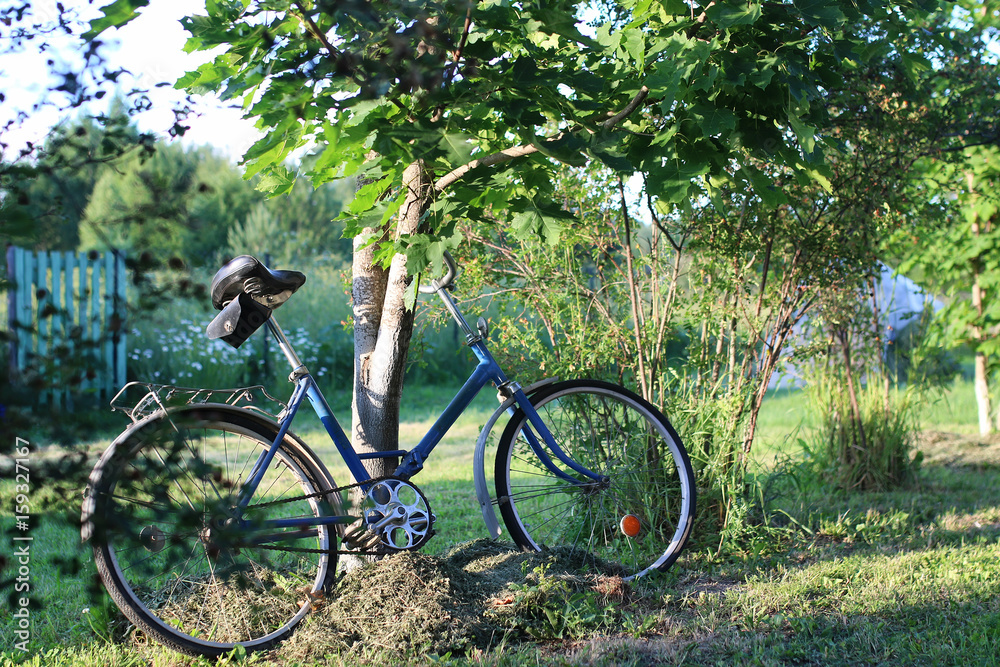 bicycle on a rural nature