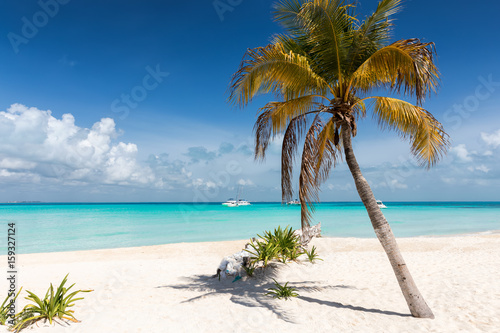 Strand in der Karibik mit Palme und t  rkisem Wasser  Isla Mujeres  Mexiko