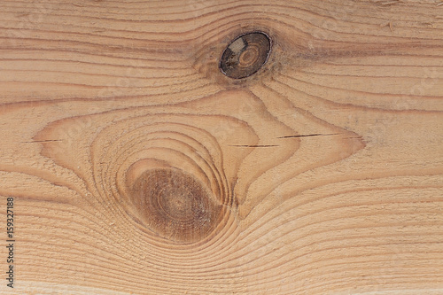 Close-up texture of a tree