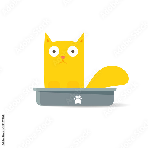 Cat sitting in litter box