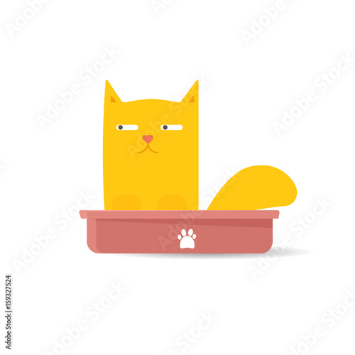 Cat sitting in litter box