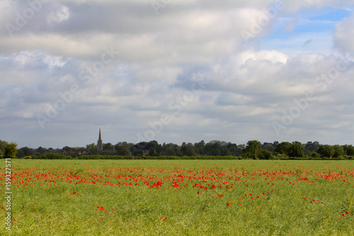 Poppies growing in summer field overlooking lechlade on the edge of the Cotswolds, UK photo
