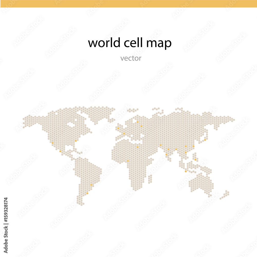 World cell map vector illustration