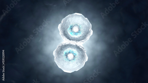 3D rendered illustration of Cell Replication 