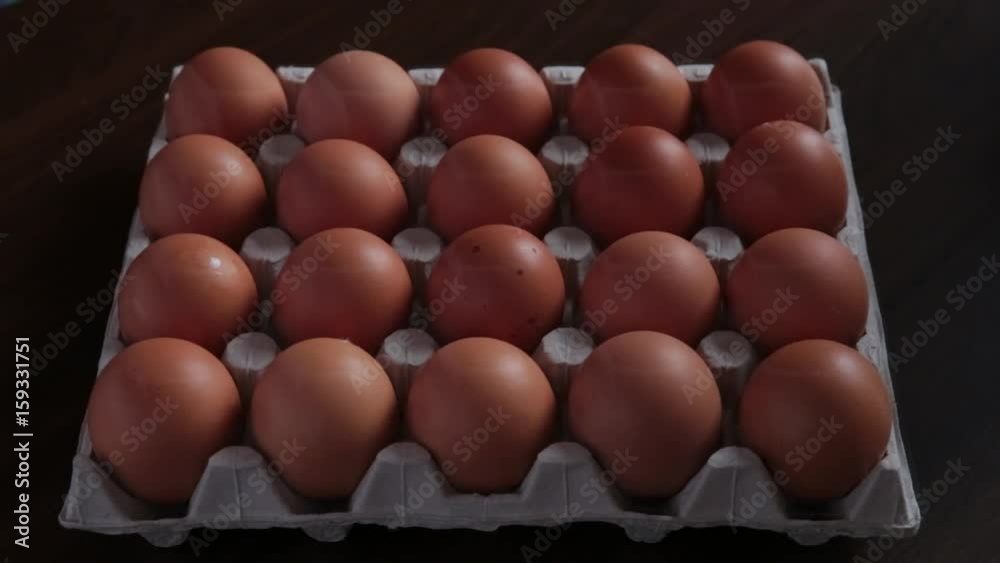 Eggs loopable animation. Appearance of eggs in egg carton Eggs loopable animation. Appearance of eggs in egg carton