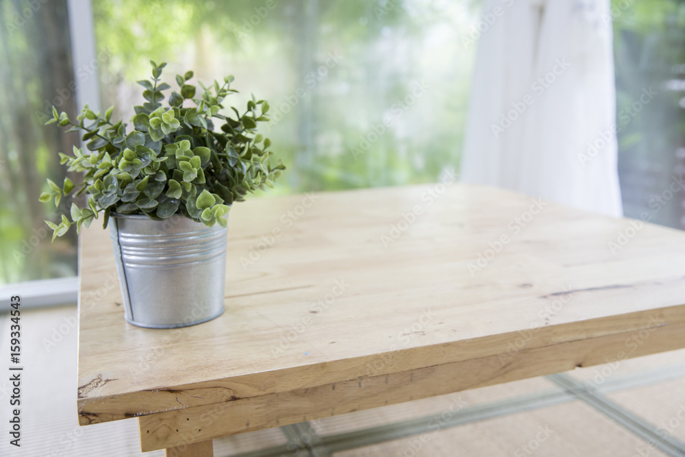 Little tree in aluminium vase on wooden table with clean white curtain and garden background, Concept of clean living room Little tree in aluminium vase on wooden table with clean white curtain and garden background, Concept of clean living room