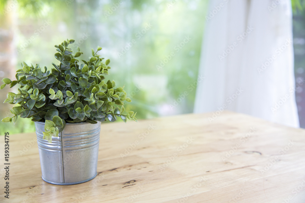 Little tree in aluminium vase on wooden table with clean white curtain and garden background, Concept of clean living room Little tree in aluminium vase on wooden table with clean white curtain and garden background, Concept of clean living room