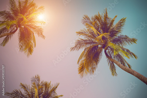 Fototapeta Naklejka Na Ścianę i Meble -  coconut tree at tropical coast, Vintage Tones,Warm tones