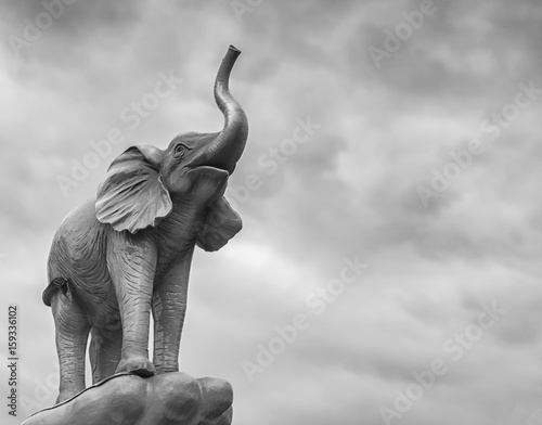 Elephant with gray sky at the background