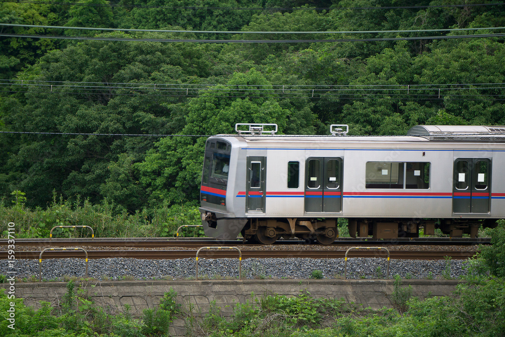 Naklejka premium 山間部 電車