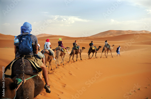 Caravan going through the sand dunes in the Sahara Desert  Morocco - Merzuga - tourist visit the desert  on camels during the holidays - adventure and freedom during a trip   safari - organized travel