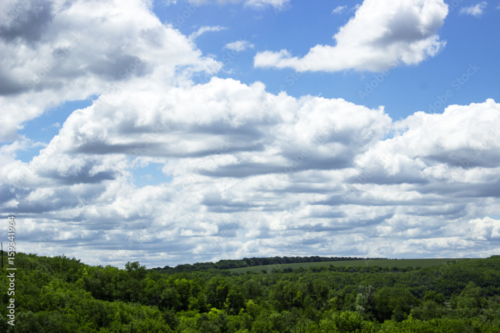Huge clouds, fly over a dark, green forest