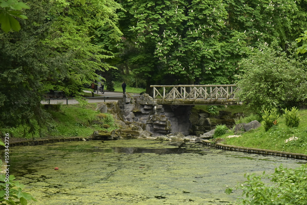 Nénuphar et mousse verdâtre devant le pont rustique au parc Josaphat à Schaerbeek Nénuphar et mousse verdâtre devant le pont rustique au parc Josaphat à Schaerbeek