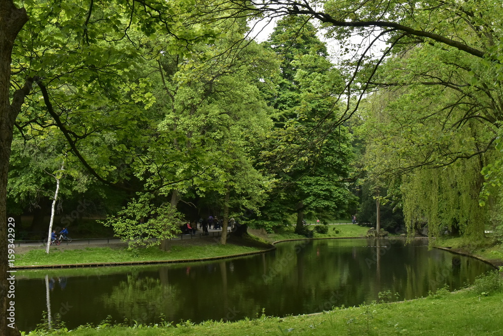 Fototapeta premium Reflet de la nature luxuriante au printemps dans l'étang principal du parc Josaphat à Schaerbeek 