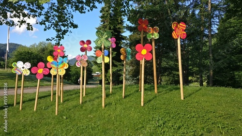 Wooden Flower Park photo