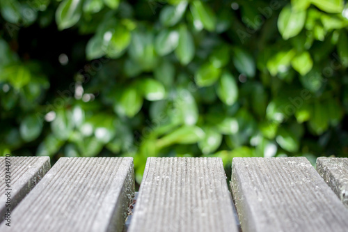 wooden table against green bush background