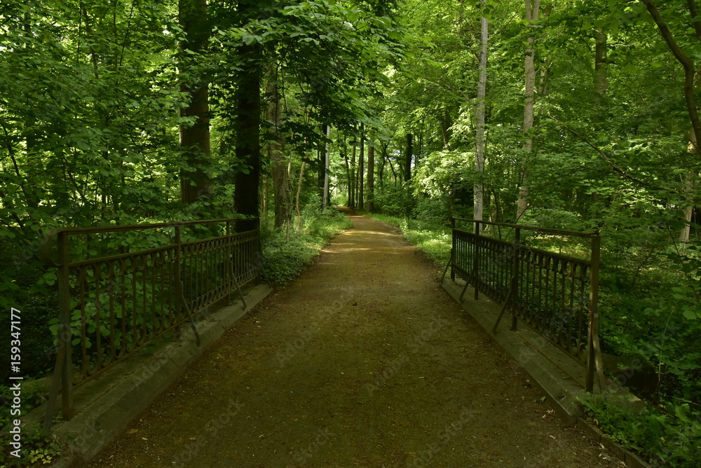 Petit pont avec rambardes en fer forgé mais rouillé traversant un ruisseau sous un feuillage très dense des arbres au Jardin Botanique National de Belgique à Meise