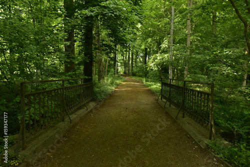 Petit pont avec rambardes en fer forg   mais rouill   traversant un ruisseau sous un feuillage tr  s dense des arbres au Jardin Botanique National de Belgique    Meise