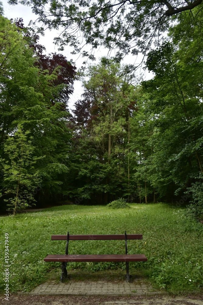 Banc ombragé près de l'entrée principale du Jardin botanique National de Belgique à Meise Banc ombragé près de l'entrée principale du Jardin botanique National de Belgique à Meise