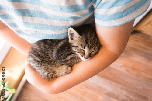 Canvas Print kitten slip on the arm of the boy outdoors