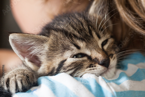 kitten slip on the shoulder of the boy outdoors