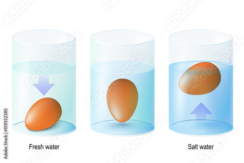 test egg. Science Experiments and Test Eggs for Freshness in one picture