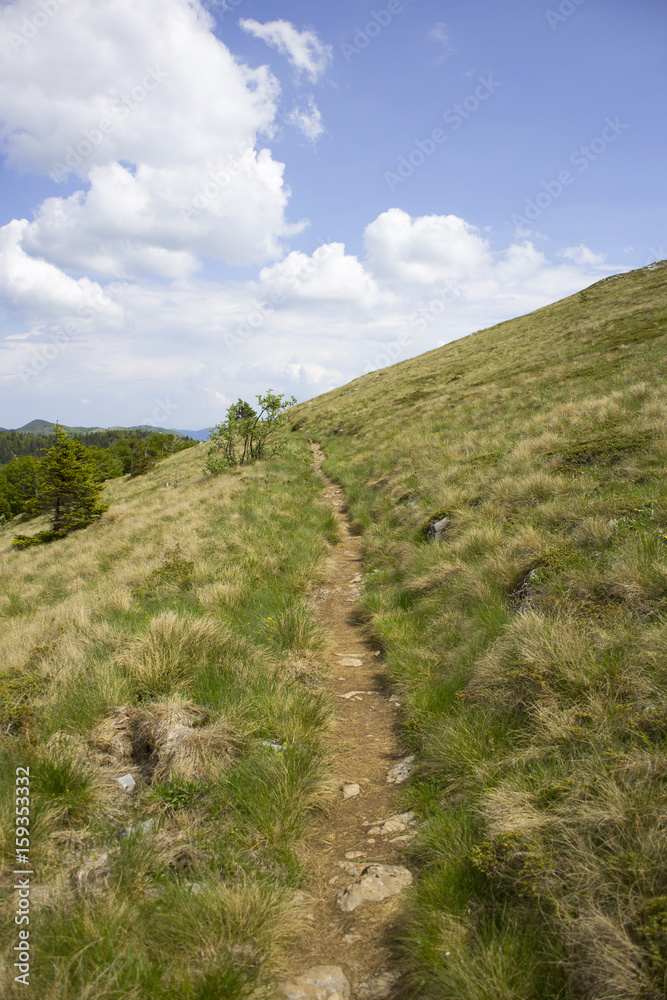 Fototapeta premium Hikers path on Velebit, mountain in Croatia